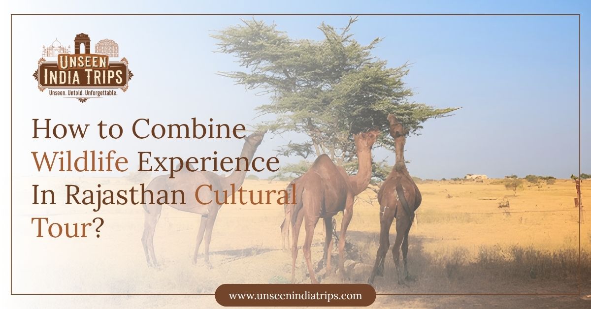 How to Combine Wildlife Experience In Rajasthan Cultural Tour