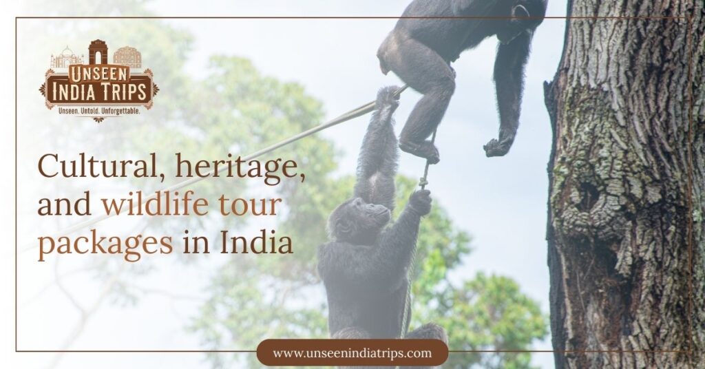 Cultural, heritage, and wildlife tour packages in India