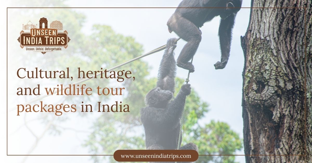 Cultural, heritage, and wildlife tour packages in India
