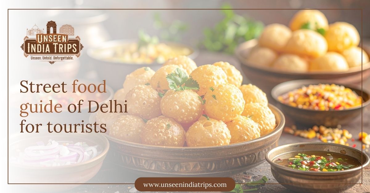 Street food guide of Delhi for tourists