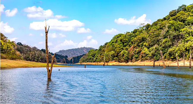 Thekkady